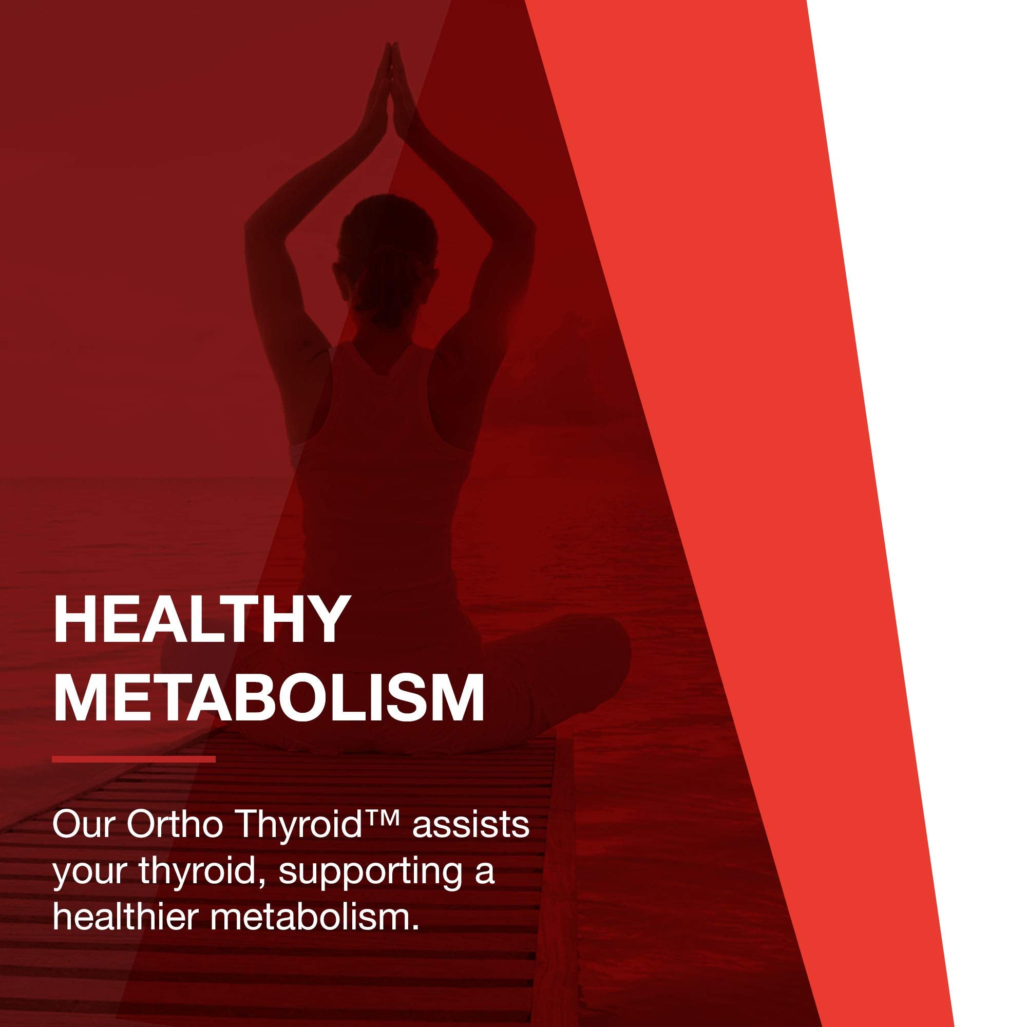 PROTOCOL FOR LIFE BALANCE sellos de GMP, kosher y non-GMO que transmiten control de calidad