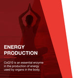 PROTOCOL FOR LIFE BALANCE mano sosteniendo cápsula mostrando uso práctico diario