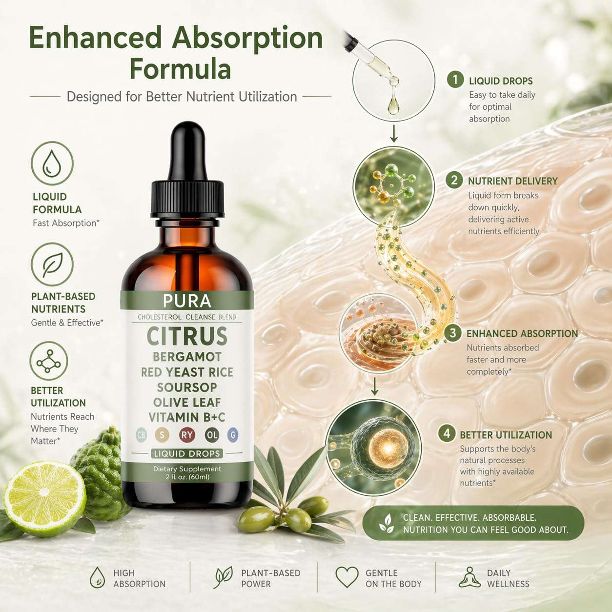 PURA Bergamot ingredientes principales bergamota y hoja de olivo en primer plano