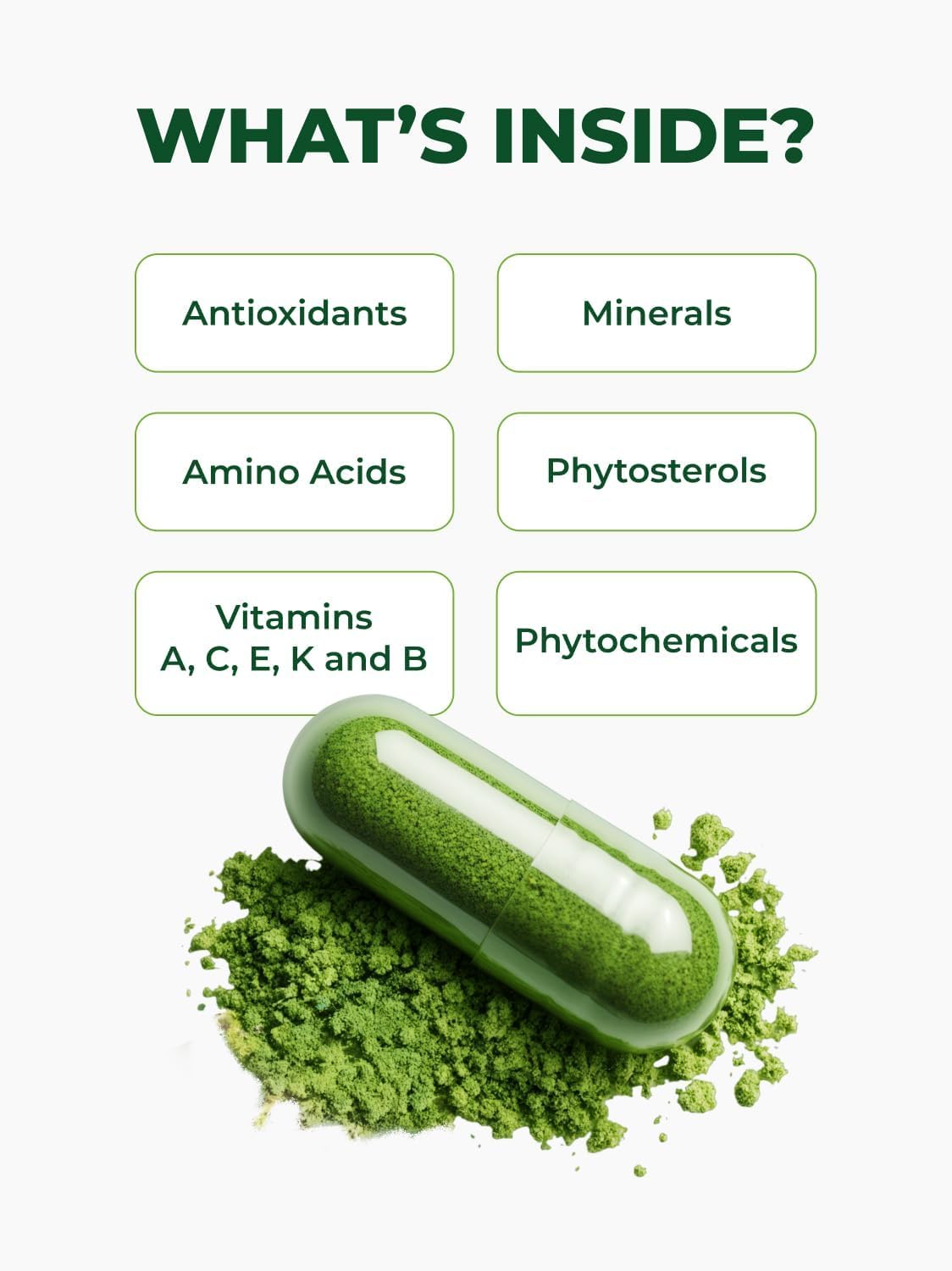 PURA VIDA MORINGA polvo de hoja en detalle, textura fina y homogénea
