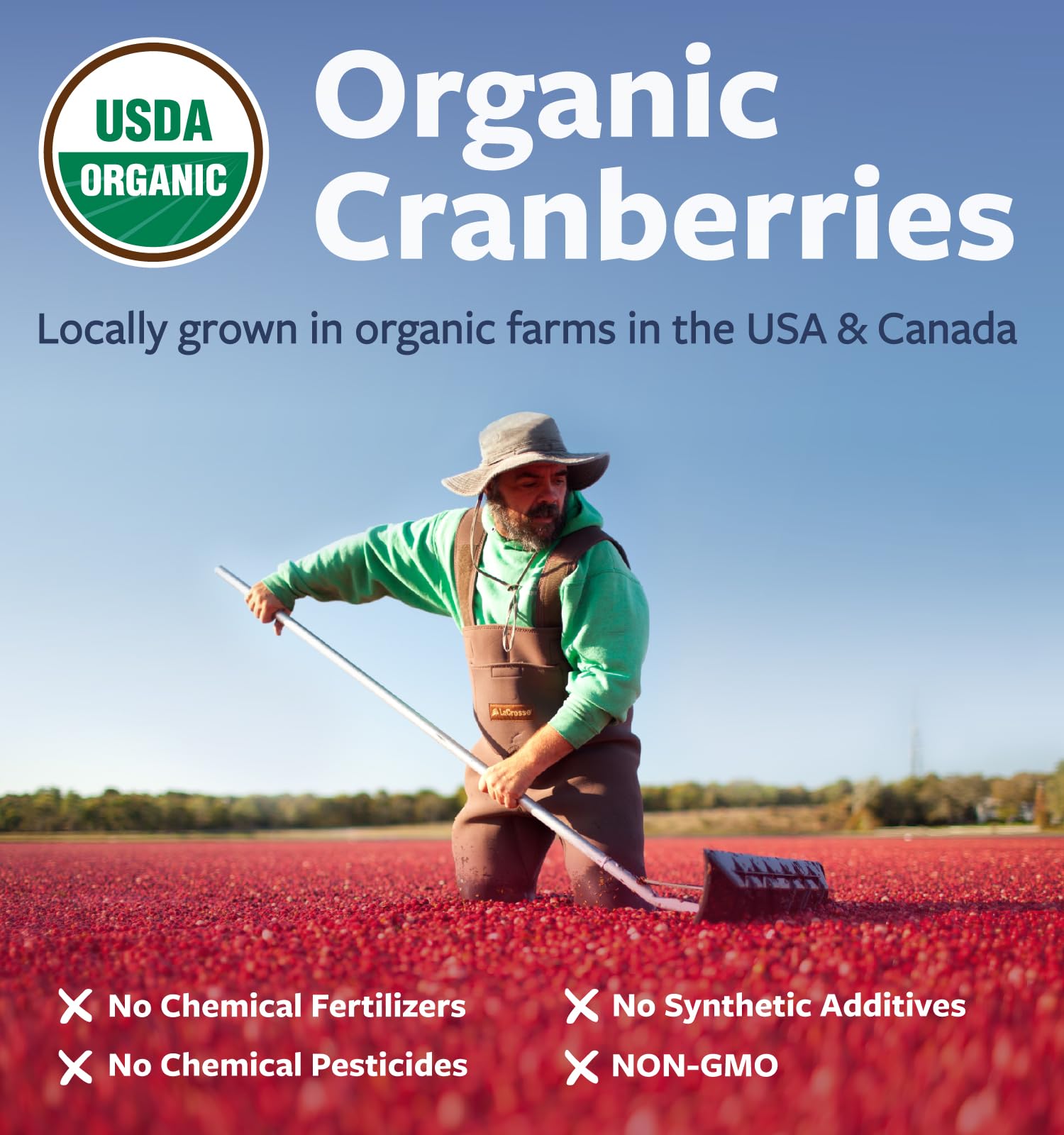 PURE CO etiqueta con certificación orgánica y origen del arándano