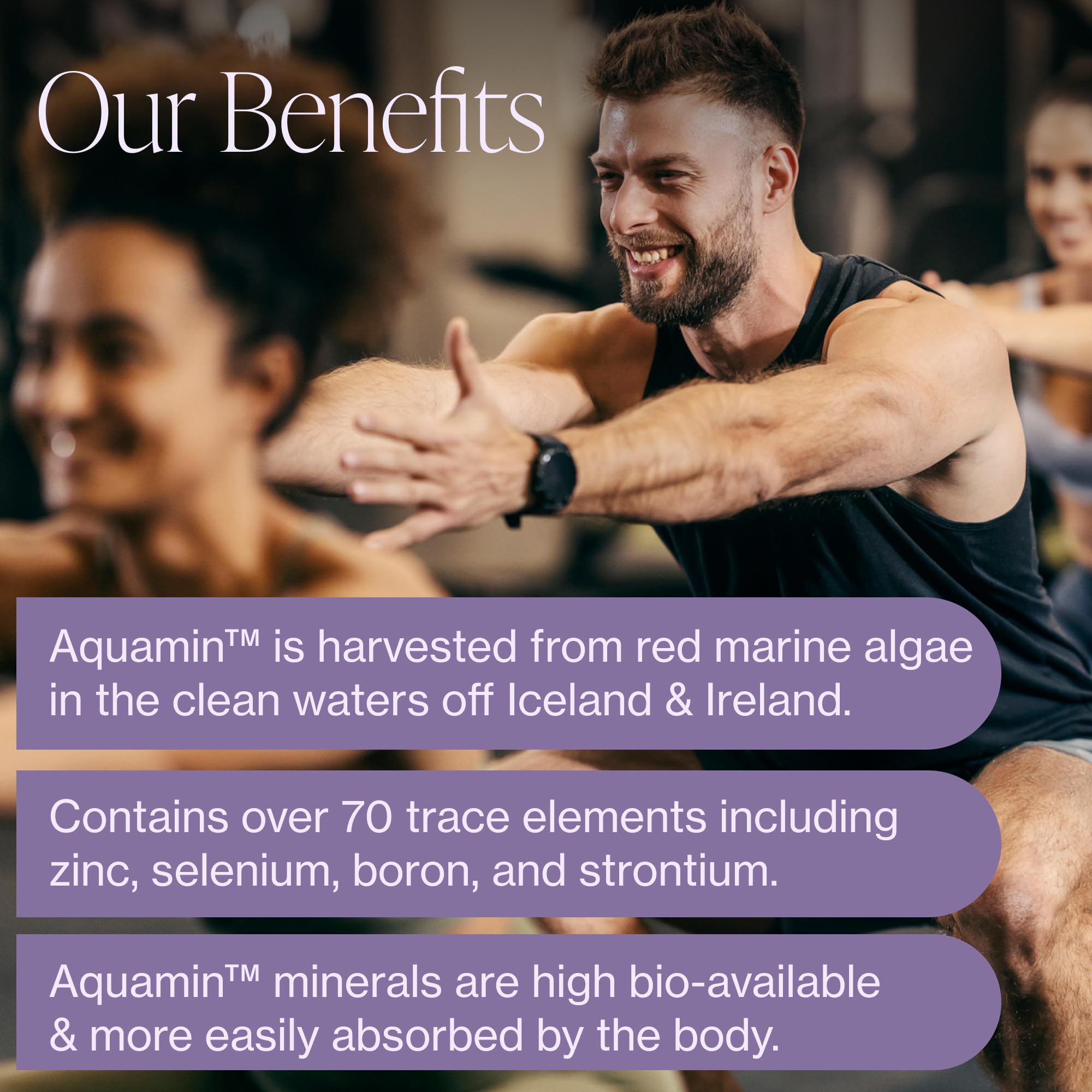 Pure Micronutrients textura del polvo fina que facilita la mezcla