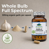 Pure Mountain Botanicals polvo de ajo orgánico en cuchara, visual de pureza