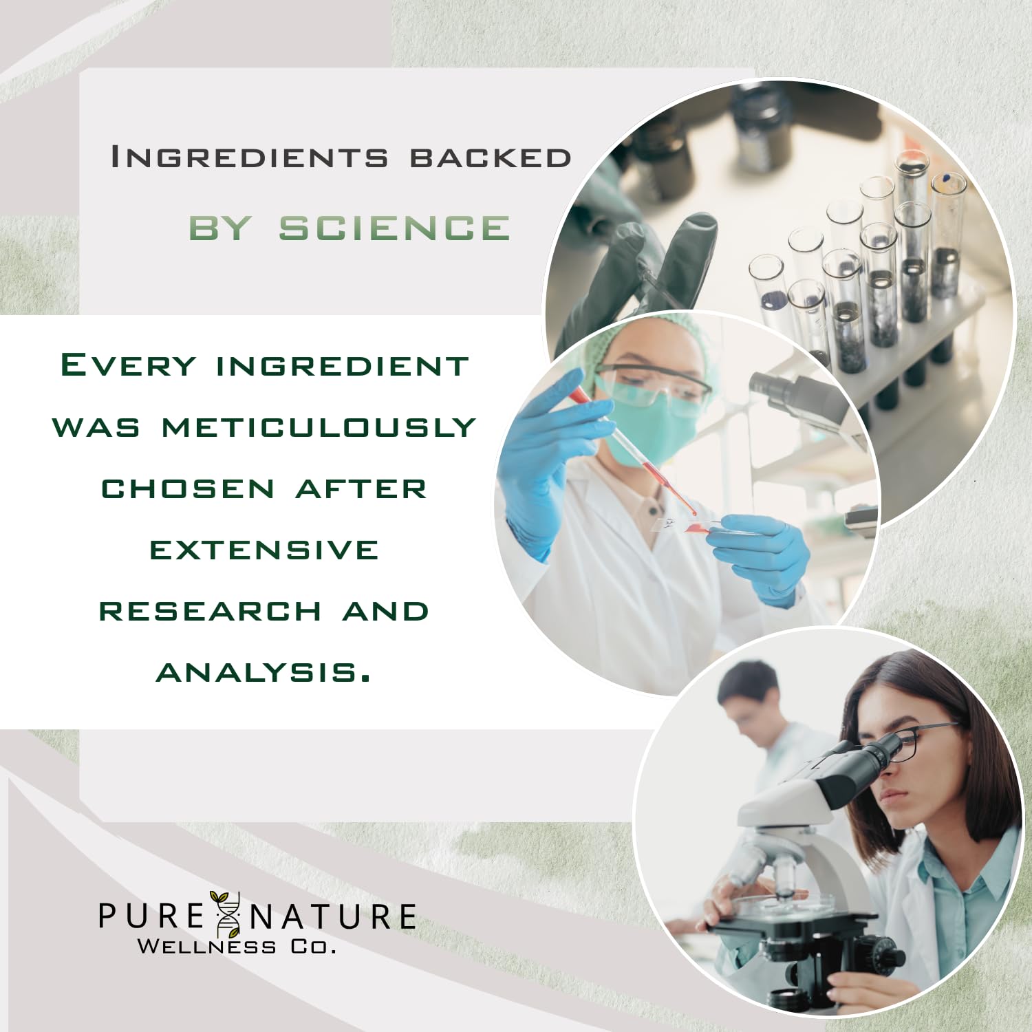 Pure Nature Wellness Co. lion's mane y bacopa en plantas ilustrando origen natural