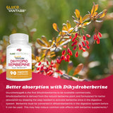Pure Nootropics cápsula junto a moneda para comparar tamaño y facilidad