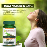 PURE NUTRITION NATURAL TREASURES polvo de giloy y tallos mostrando origen natural