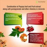 Pure Nutrition Papaya Complete textura del extracto en polvo que ilustra concentración y pureza