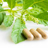 PURE ORIGINAL INGREDIENTS comparación de tamaño de cápsula para dosificación visual