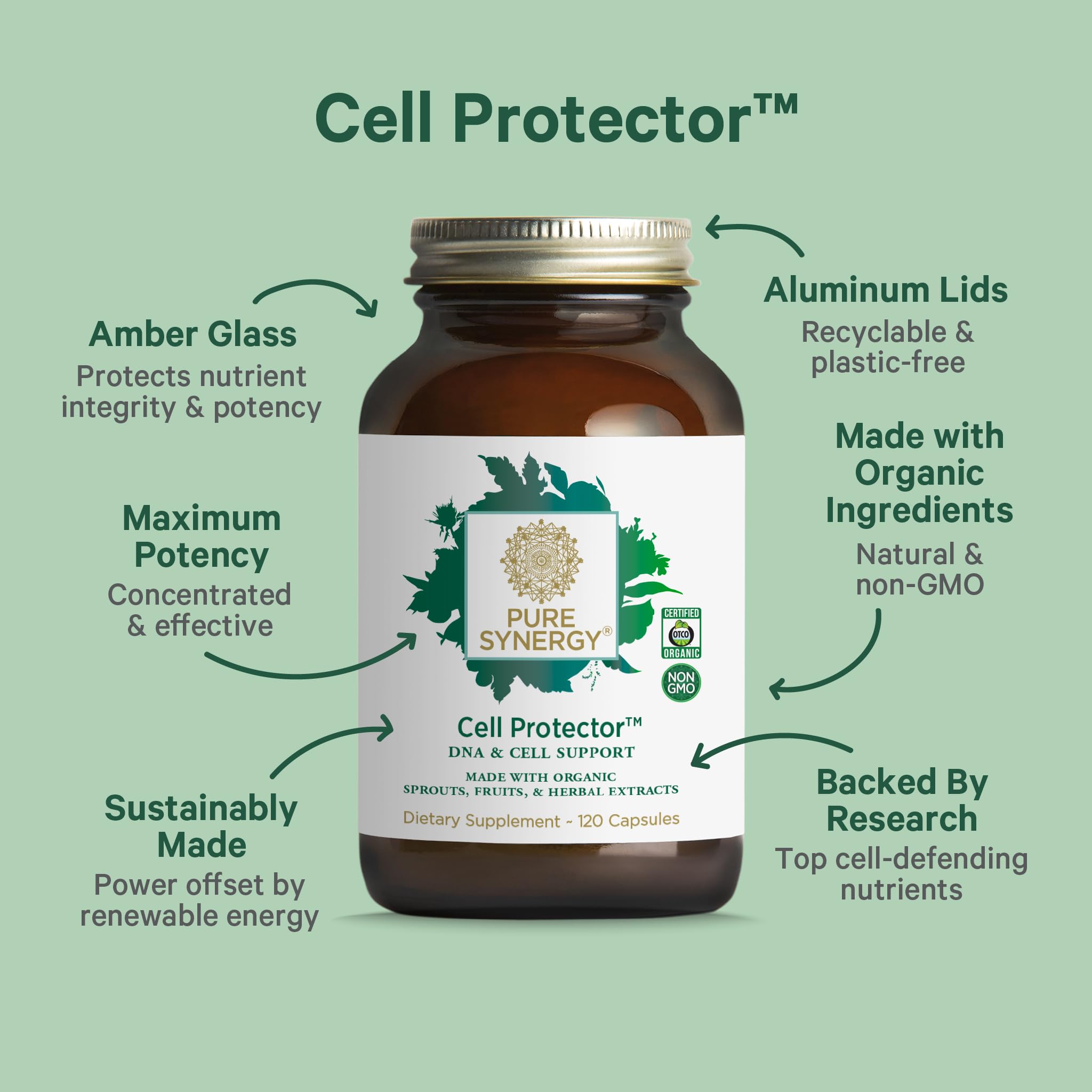 PURE SYNERGY crucíferas orgánicas usadas en la fórmula mostrando beneficios antioxidantes