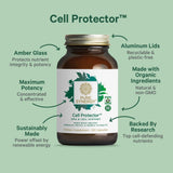 PURE SYNERGY crucíferas orgánicas usadas en la fórmula mostrando beneficios antioxidantes