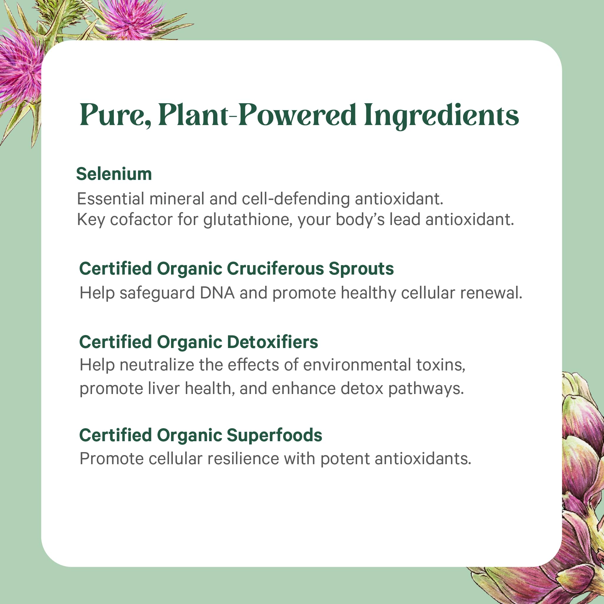 PURE SYNERGY frasco junto a regla para comparar tamaño y cantidad de cápsulas