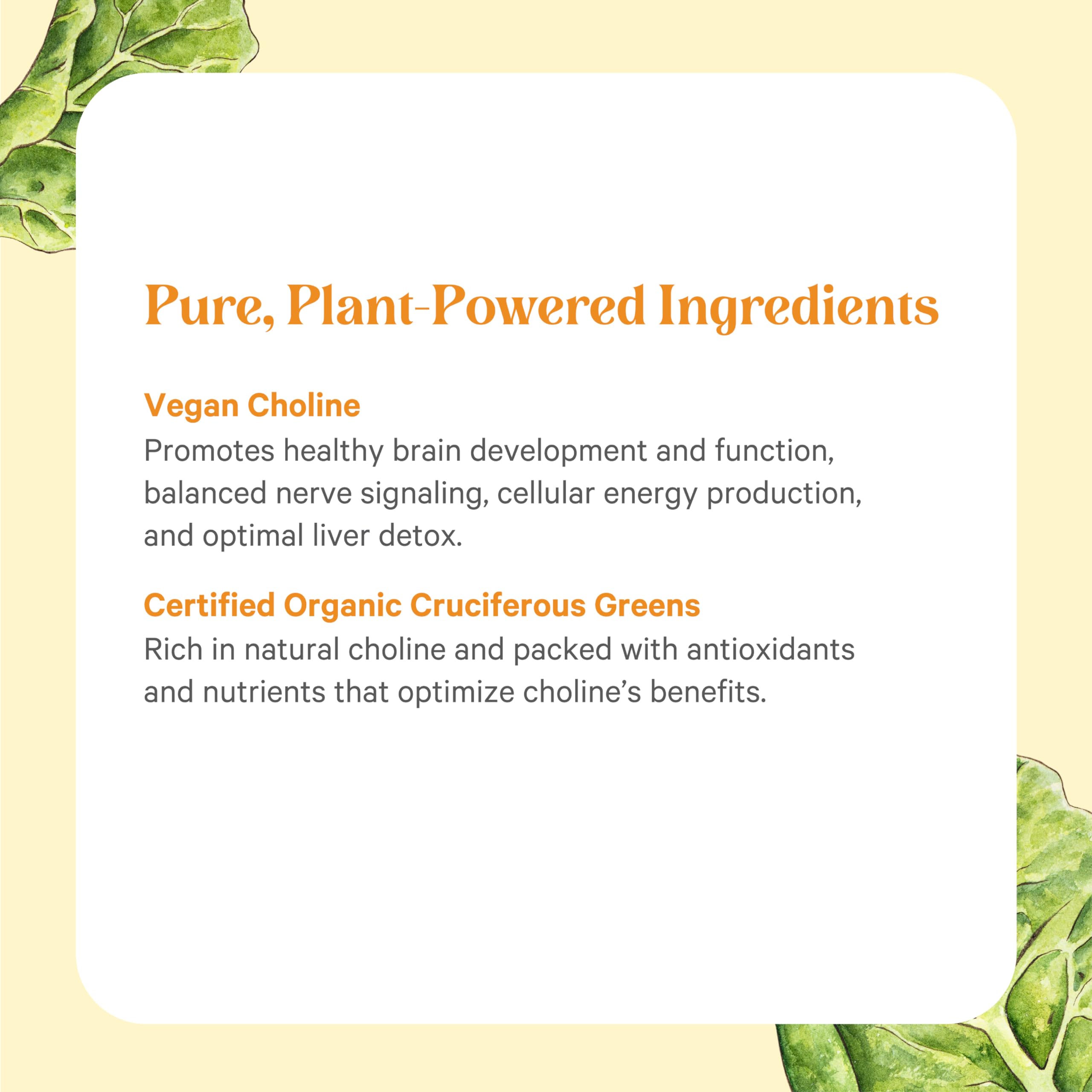 PURE SYNERGY producto al lado de un desayuno para ilustrar uso diario