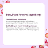 Pure Synergy cápsula junto a moneda para comparar tamaño y dosis