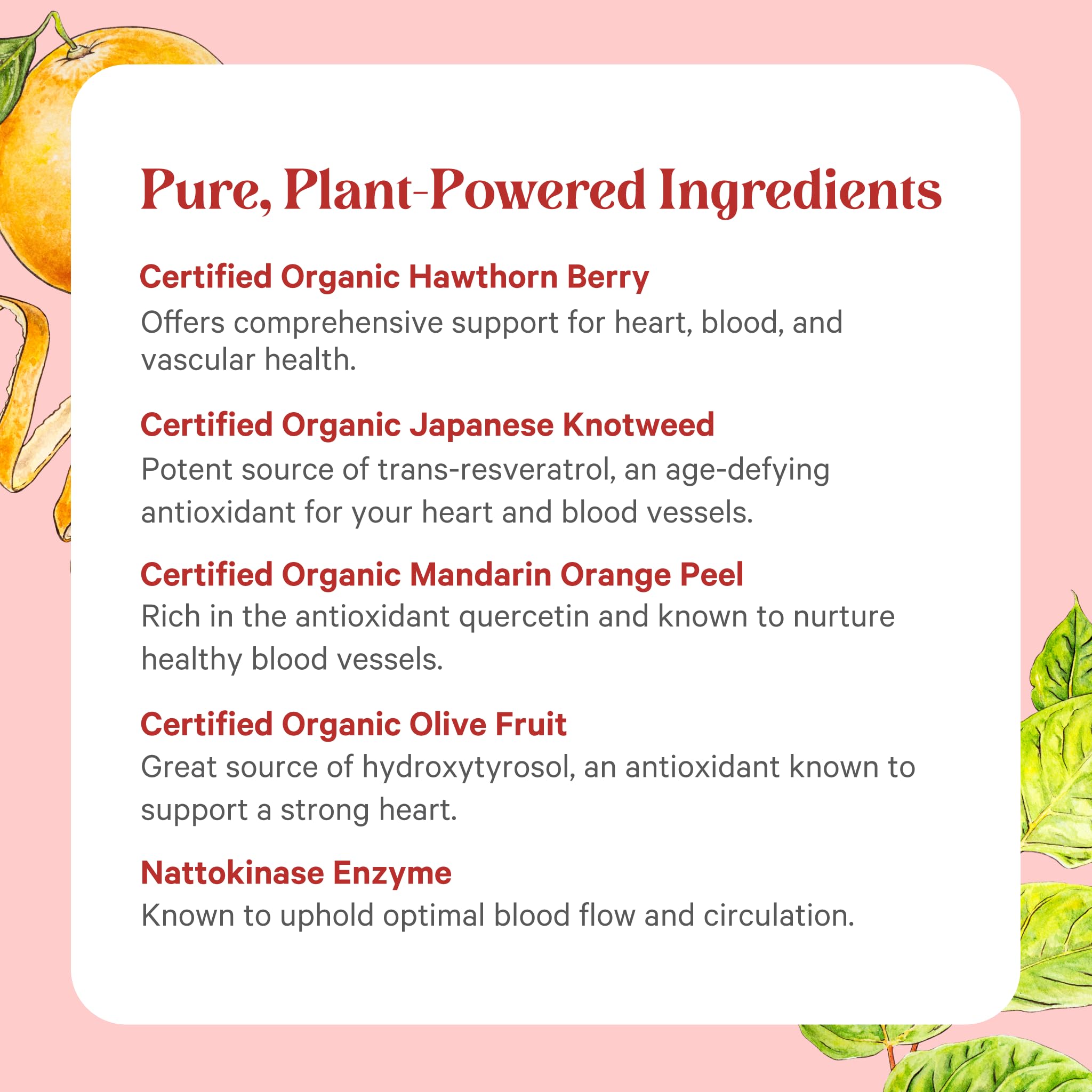 PURE SYNERGY frasco junto a una regla para comparar tamaño y porciones