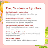 PURE SYNERGY frasco junto a una regla para comparar tamaño y porciones