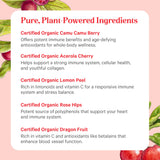 Pure Synergy polvo mezclado en batido frutal, sabor natural añadido