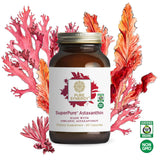 PURE SYNERGY producto en contexto de estilo de vida saludable para rutina diaria