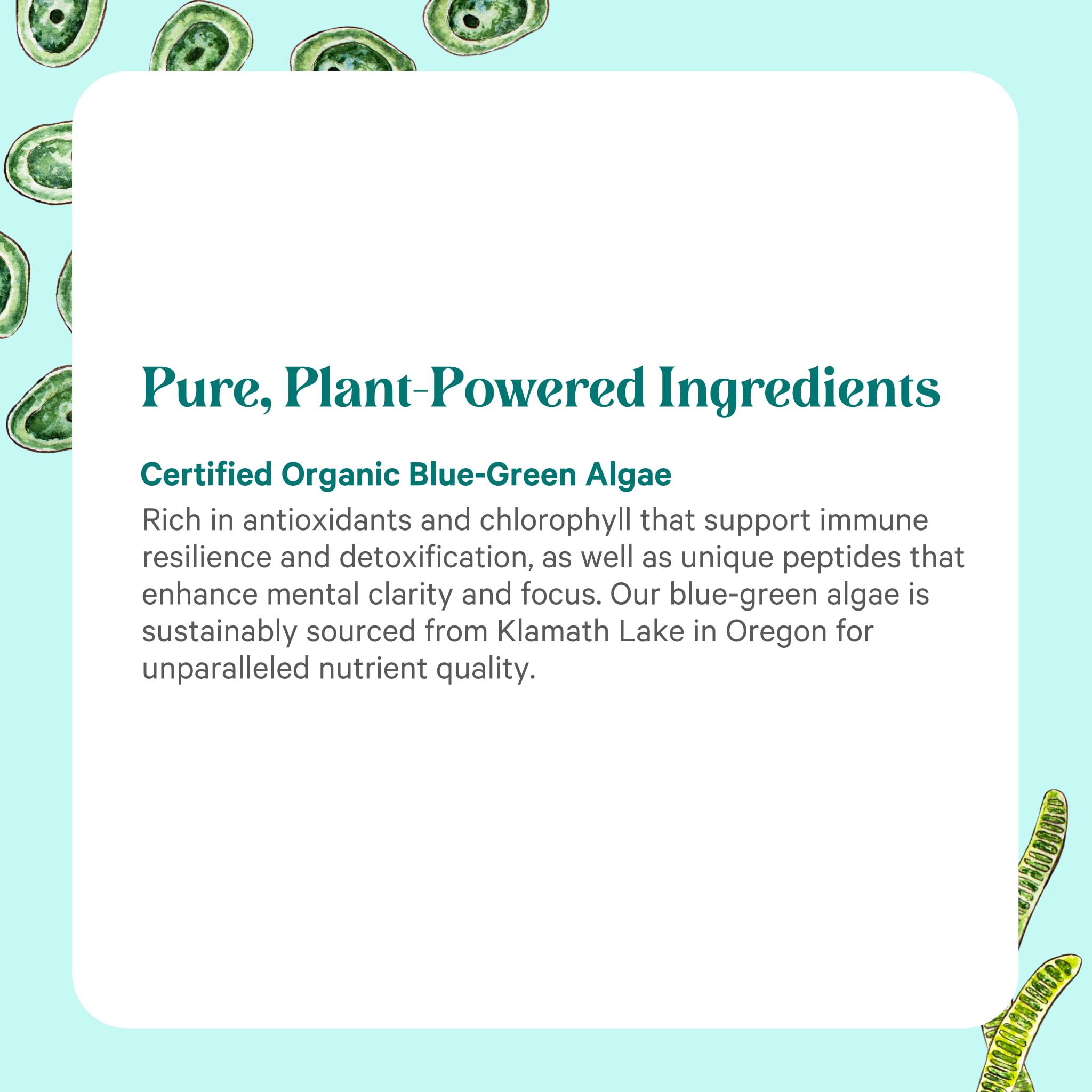 PURE SYNERGY etiqueta con certificaciones orgánica y Non-GMO visibles