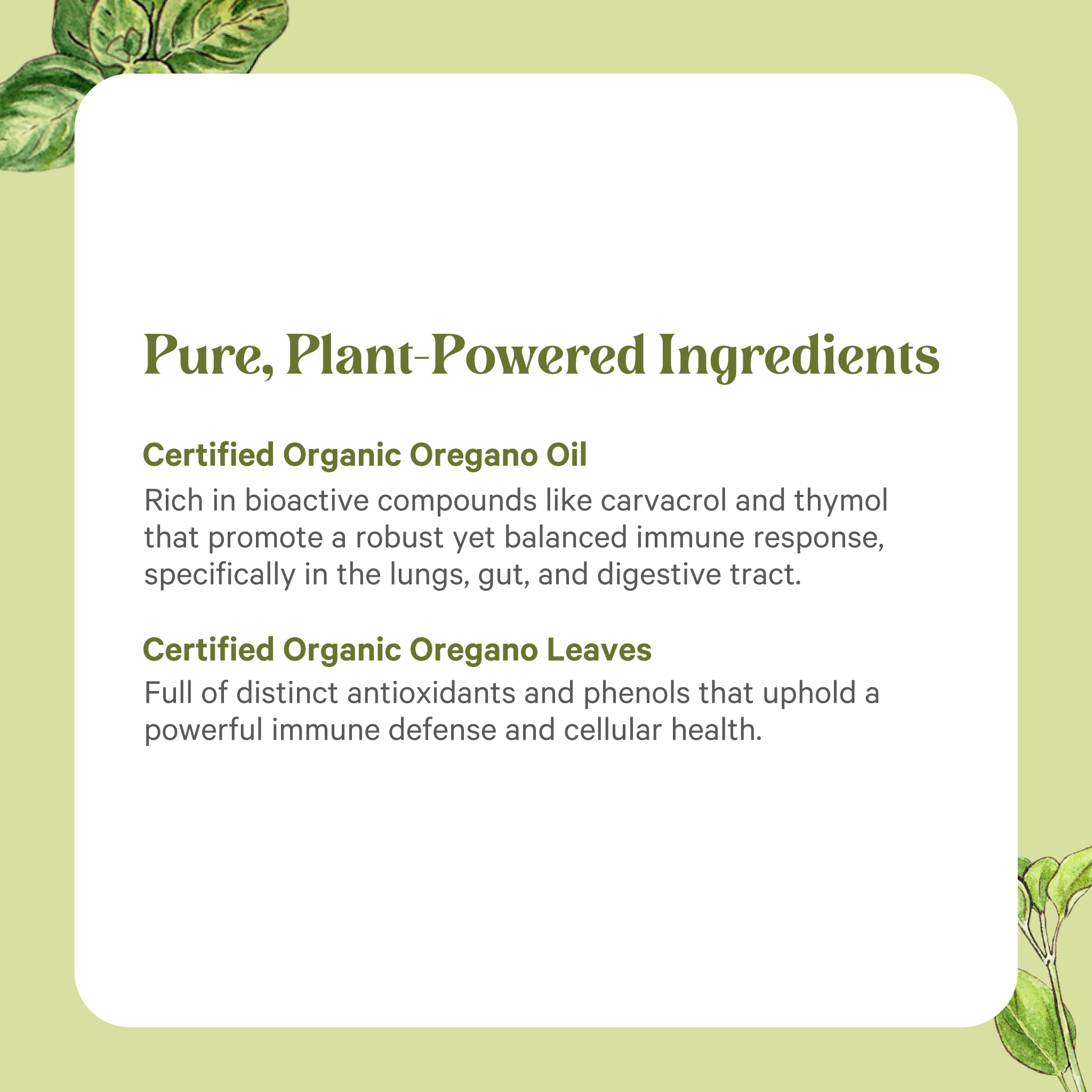 PURE SYNERGY etiqueta con sellos orgánico y Non-GMO, certificaciones claras
