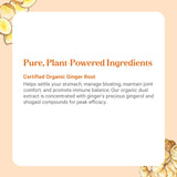 PURE SYNERGY etiqueta con sellos orgánico, vegano y sin gluten visibles