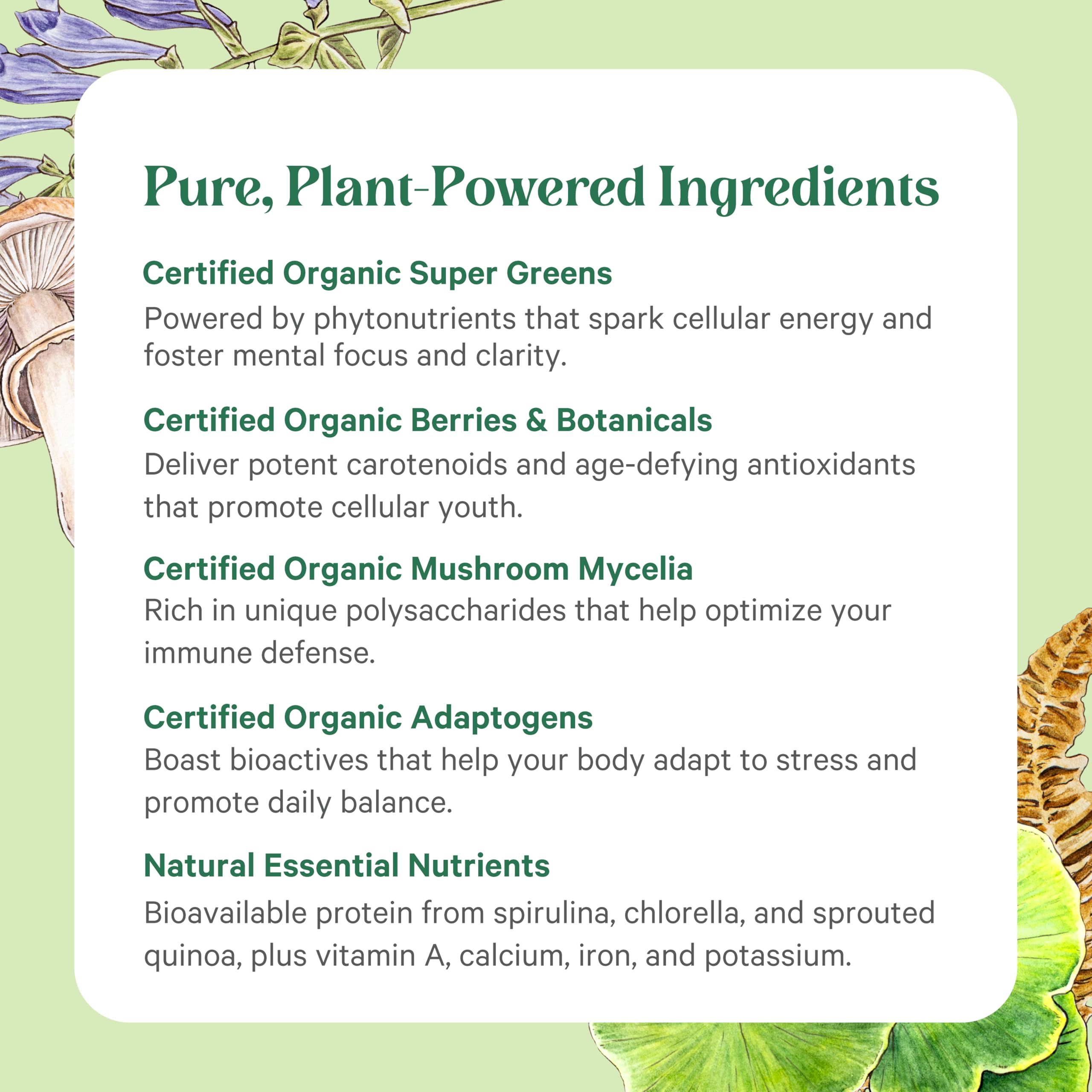 PURE SYNERGY etiqueta con lista de ingredientes orgánicos y certificaciones