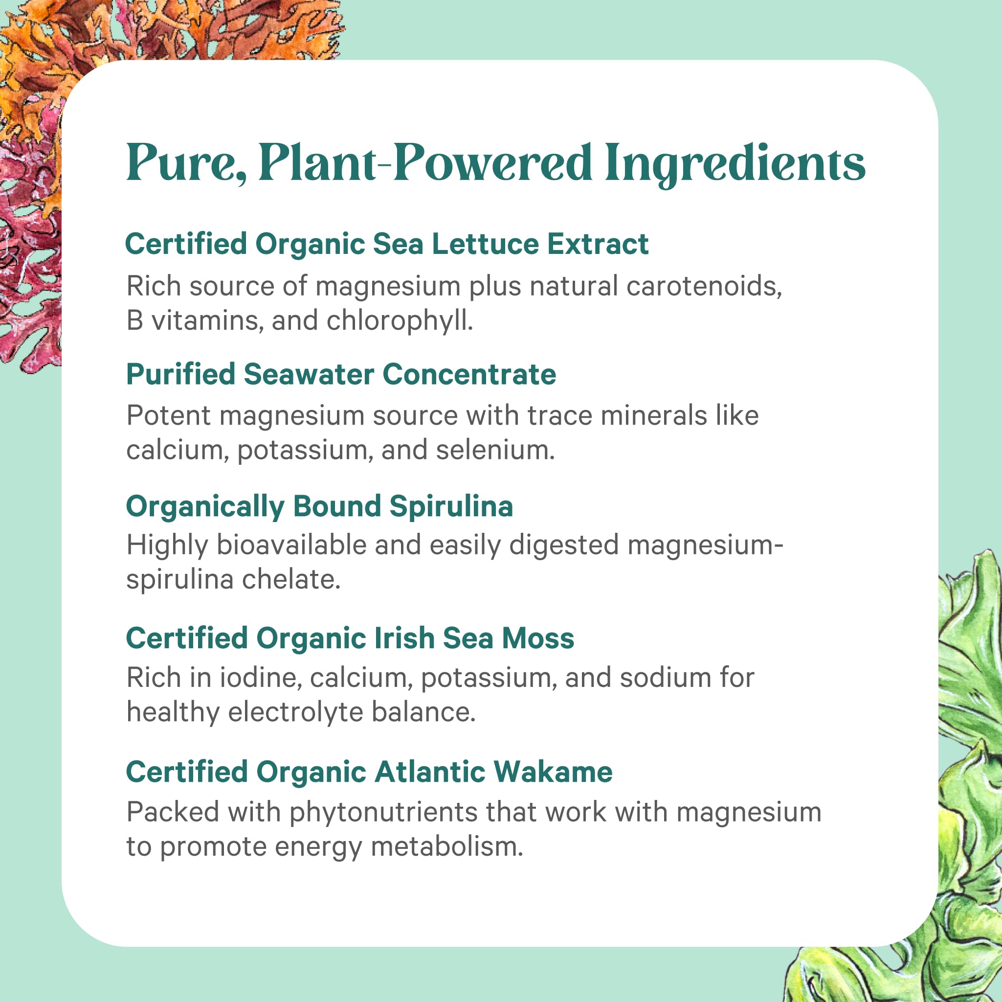 PURE SYNERGY etiqueta nutricional destacando ingredientes orgánicos y dosis