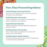 PURE SYNERGY etiqueta nutricional destacando ingredientes orgánicos y dosis