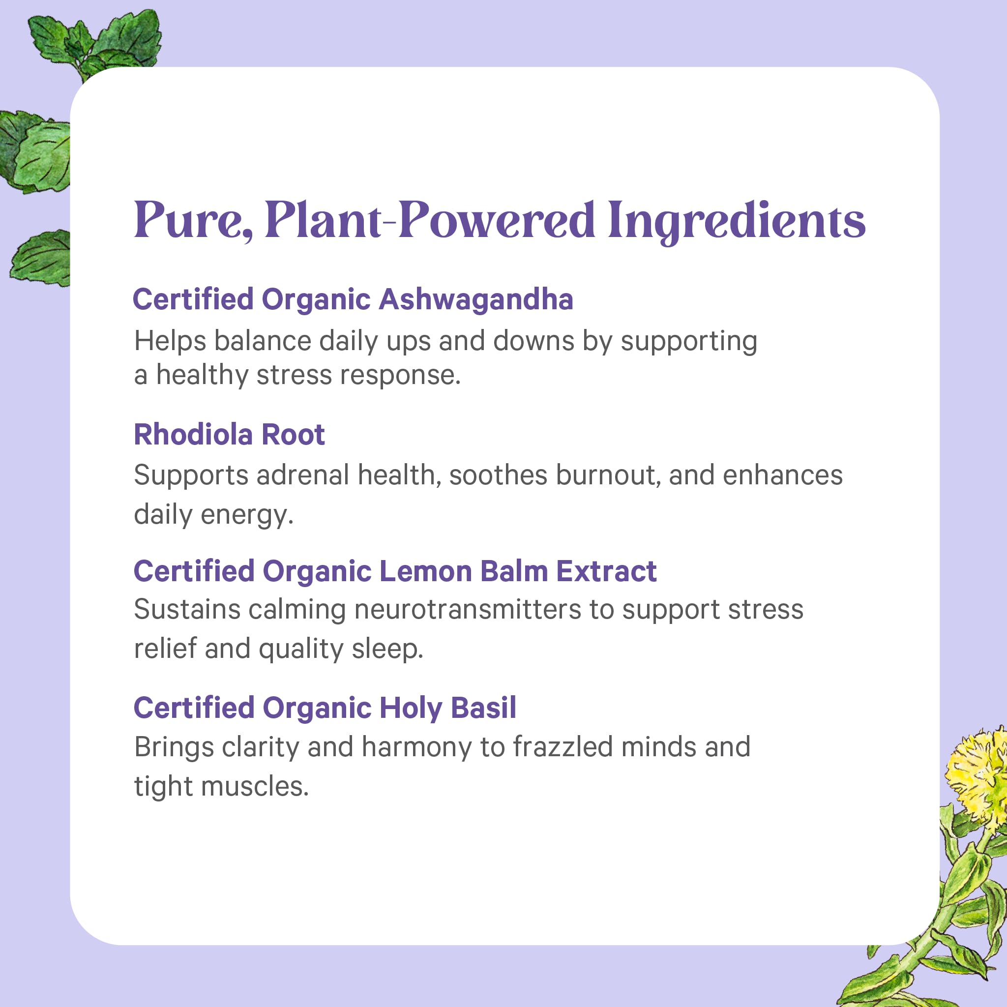 PURE SYNERGY etiqueta con ingredientes y certificaciones visibles