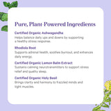 PURE SYNERGY etiqueta con ingredientes y certificaciones visibles