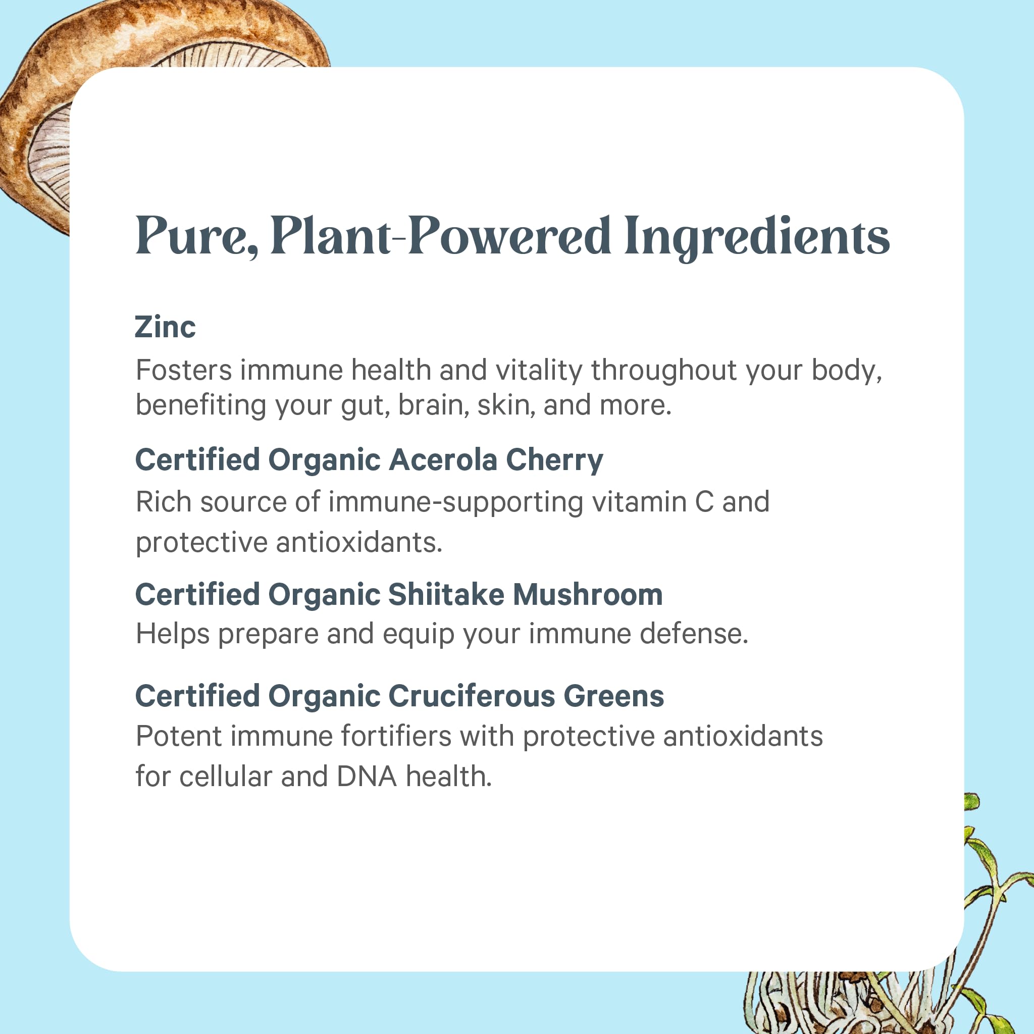 PURE SYNERGY frasco junto a acerola y vegetales orgánicos, refuerza origen