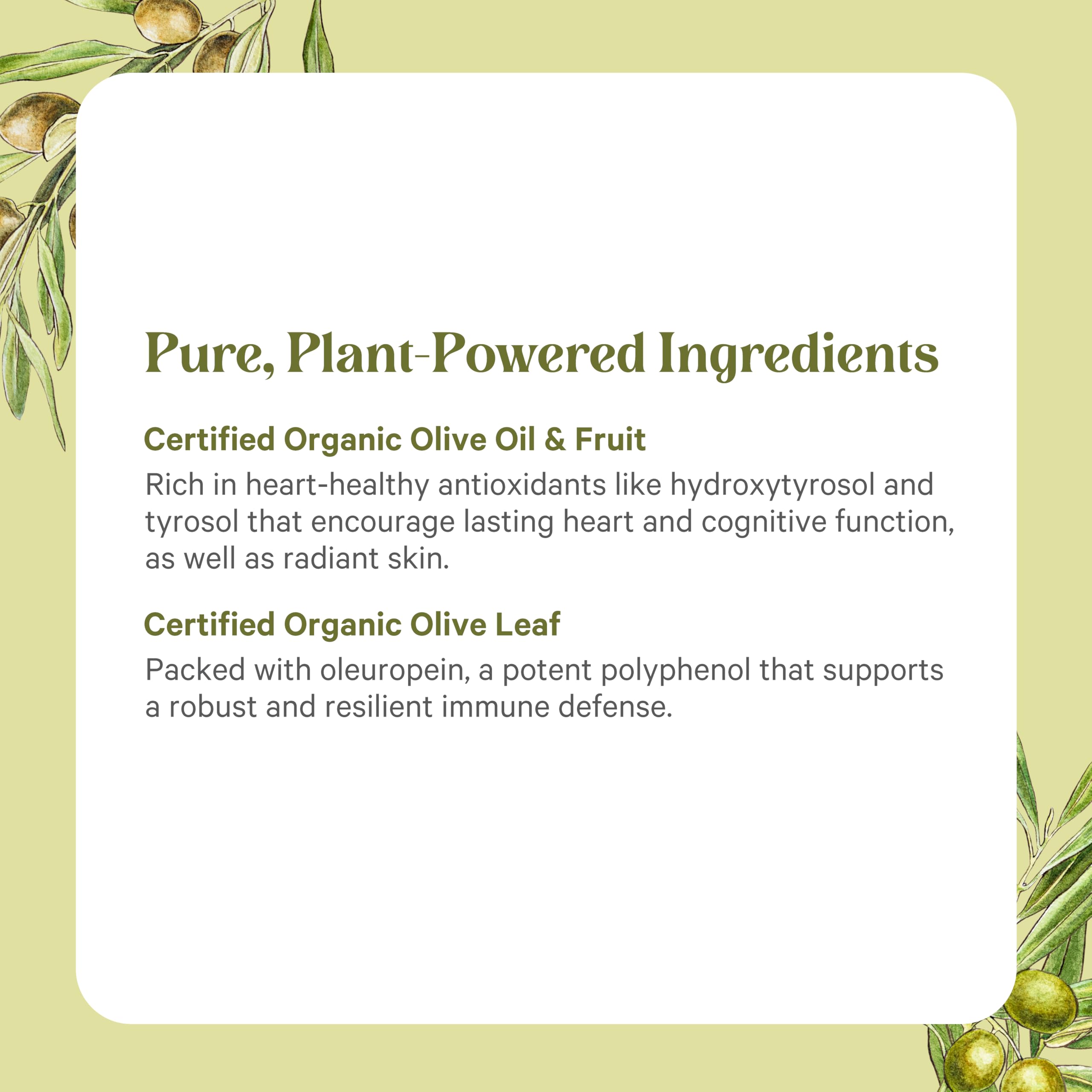 PURE SYNERGY ingredientes de hoja, fruto y aceite de oliva naturales