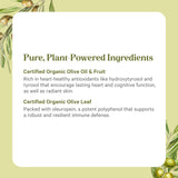 PURE SYNERGY ingredientes de hoja, fruto y aceite de oliva naturales