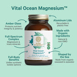 PURE SYNERGY spirulina y chlorella como ingredientes marinos ricos en minerales