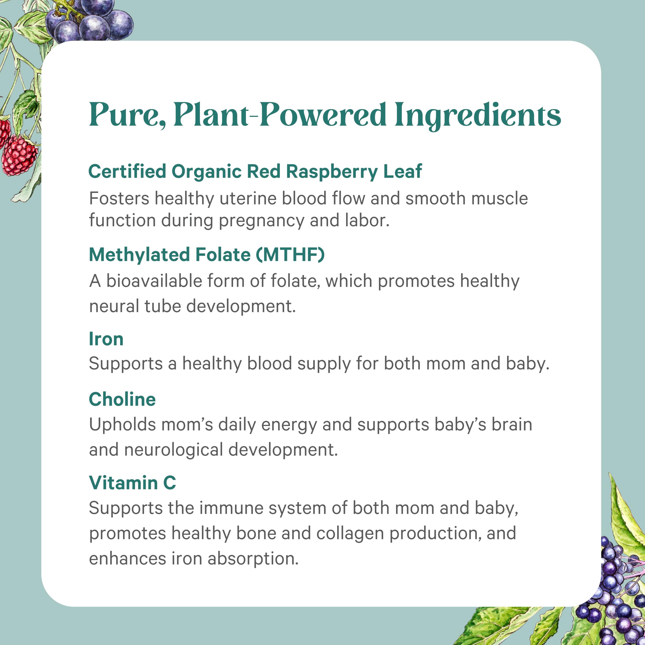 PURE SYNERGY frasco junto a rutina matutina, integración diaria sencilla