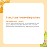 PURE SYNERGY raíz de cúrcuma en primer plano mostrando origen natural