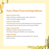 PURE SYNERGY comparación de tamaño junto a fruta para referencia de escala