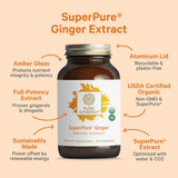 PURE SYNERGY polvo de jengibre en primer plano para potencia concentrada