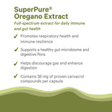 PURE SYNERGY frasco en mano de usuario, portabilidad y uso diario sencillo