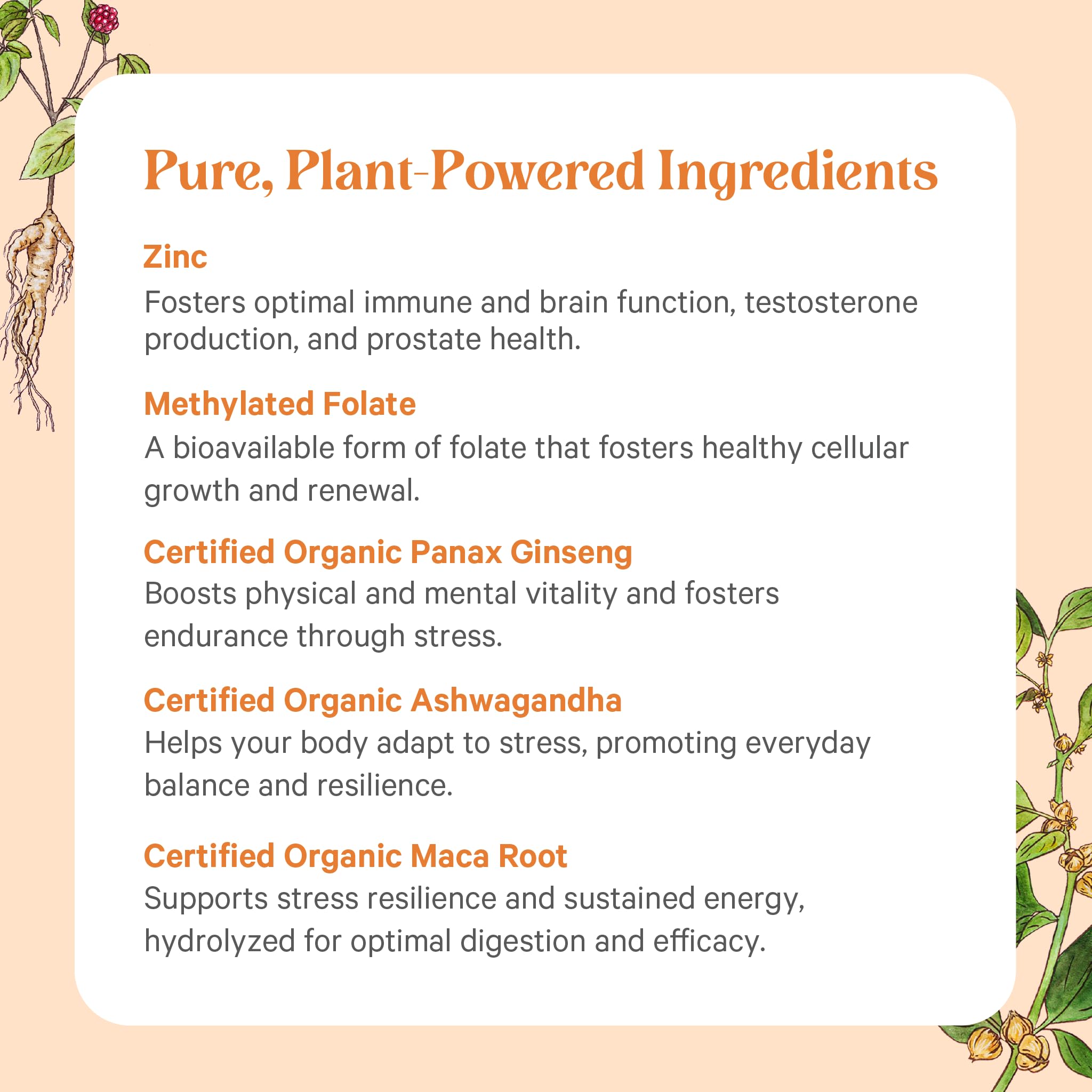 PURE SYNERGY multivitamínico junto a desayuno para rutina diaria energética