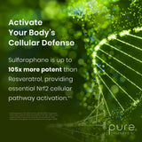 Pure Therapro Rx sello GMP en envase que resalta fabricación segura