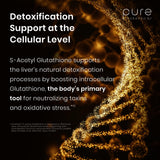 Pure Therapro Rx uso matutino en rutina diaria para conveniencia