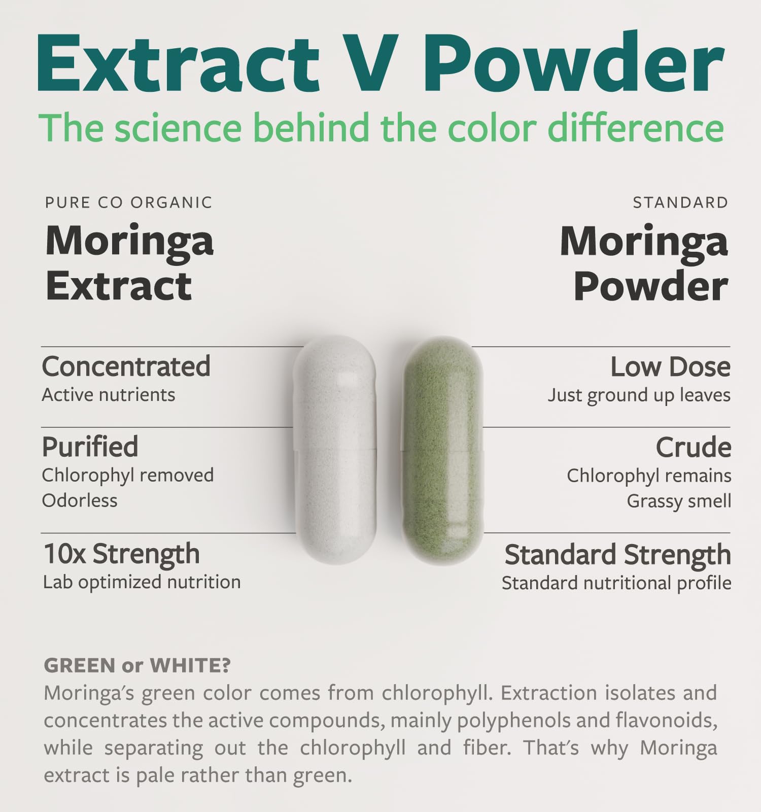 PURE CO textura del polvo de moringa para ver pureza y consistencia