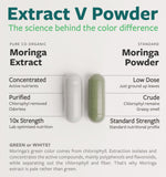 PURE CO textura del polvo de moringa para ver pureza y consistencia