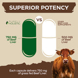 Purely Holistic ganado en pastura en Argentina mostrando origen responsable