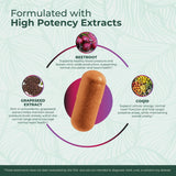 PurePremium textura del polvo de remolacha mostrando origen vegetal y pureza