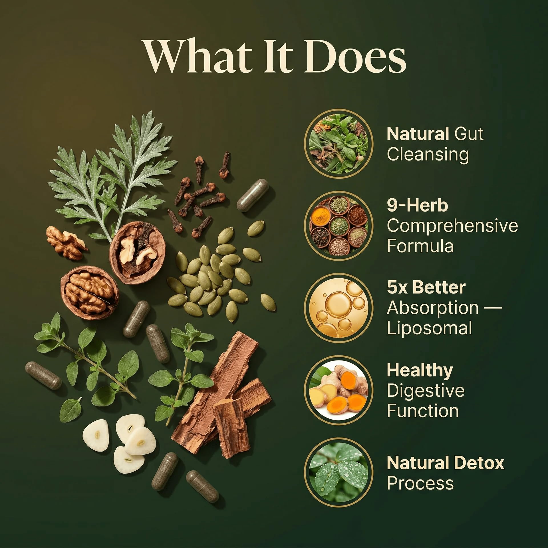 PURETREX ingredientes secos reunidos para ilustrar el complejo herbal