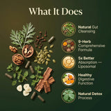 PURETREX ingredientes secos reunidos para ilustrar el complejo herbal