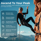 PUREZEN SHILAJIT detalle de etiqueta y sello de prueba de laboratorio