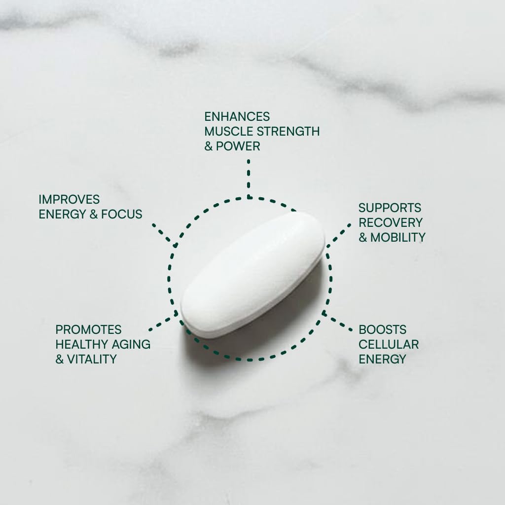 Purity Products EverStrong tableta en mano para comparar tamaño y dosificación