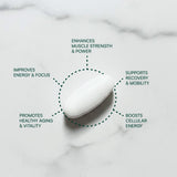 Purity Products EverStrong tableta en mano para comparar tamaño y dosificación